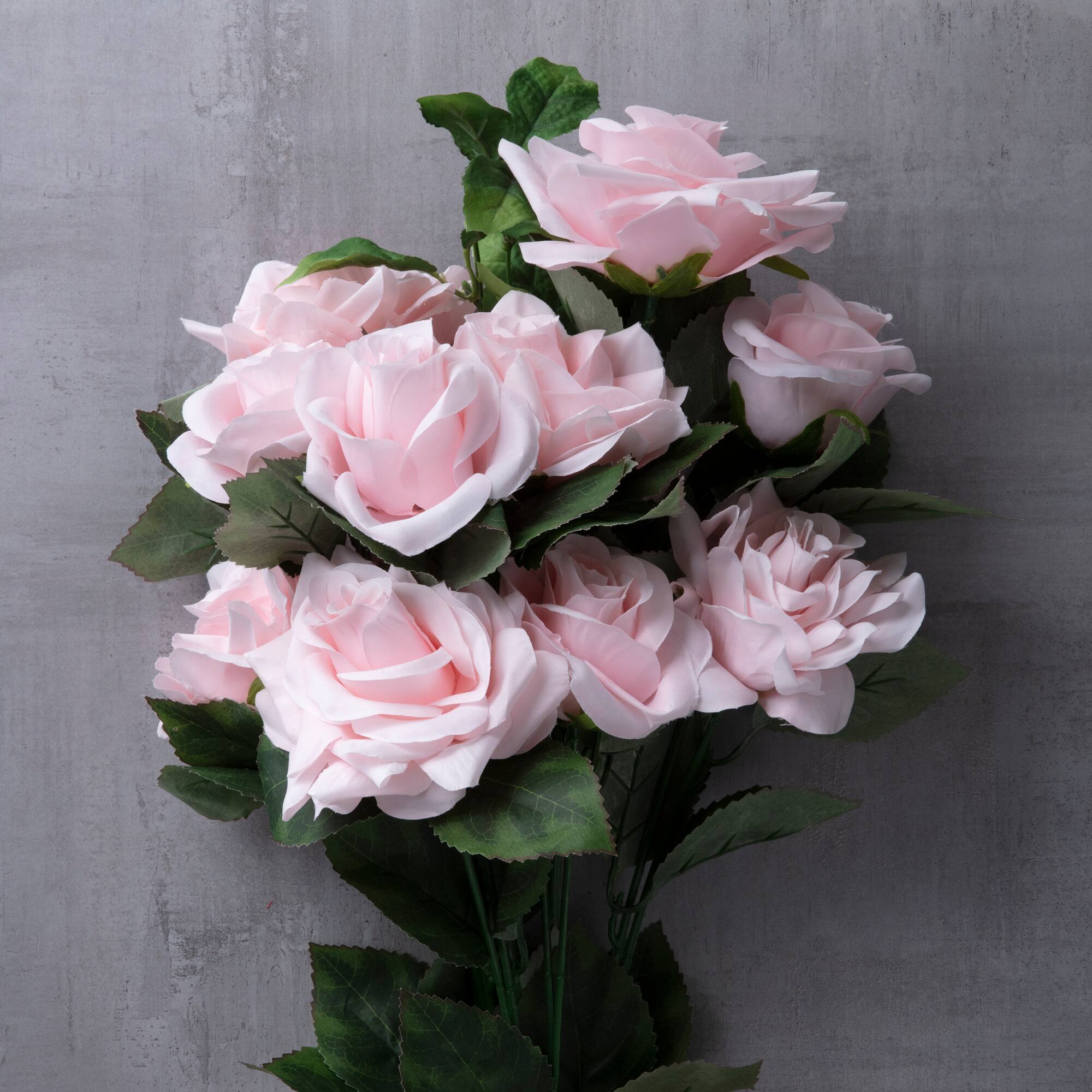 12 Pack: Pink Rose Bush by Ashland®